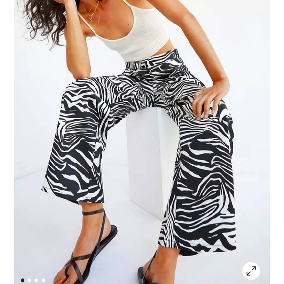 Anthropologie Corey Lynn Calter zebra striped wide leg...